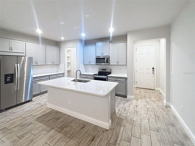 6025 GRAND SONATA AVENUE, Lutz, FL 33558
