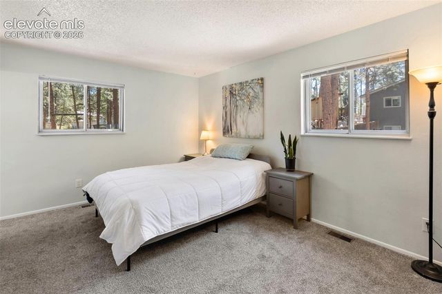 723 N Center Street, Woodland Park, CO 80863