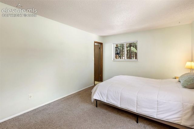 723 N Center Street, Woodland Park, CO 80863