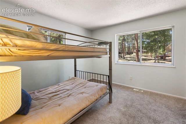 723 N Center Street, Woodland Park, CO 80863