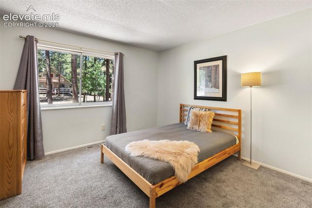 723 N Center Street, Woodland Park, CO 80863