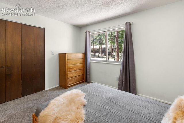 723 N Center Street, Woodland Park, CO 80863