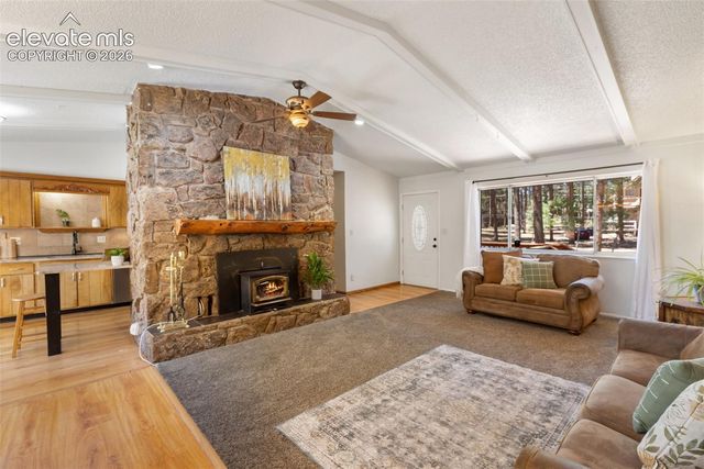 723 N Center Street, Woodland Park, CO 80863