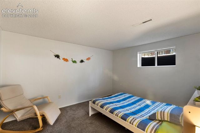 723 N Center Street, Woodland Park, CO 80863