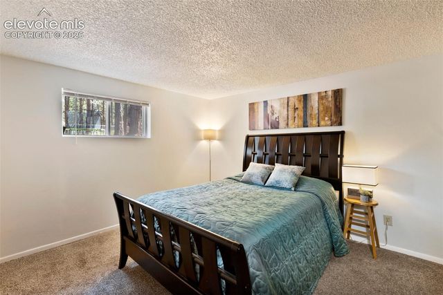 723 N Center Street, Woodland Park, CO 80863
