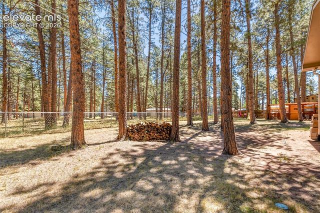 723 N Center Street, Woodland Park, CO 80863