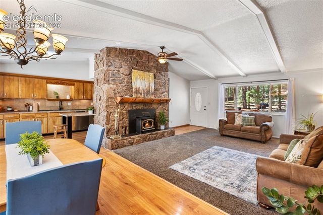723 N Center Street, Woodland Park, CO 80863