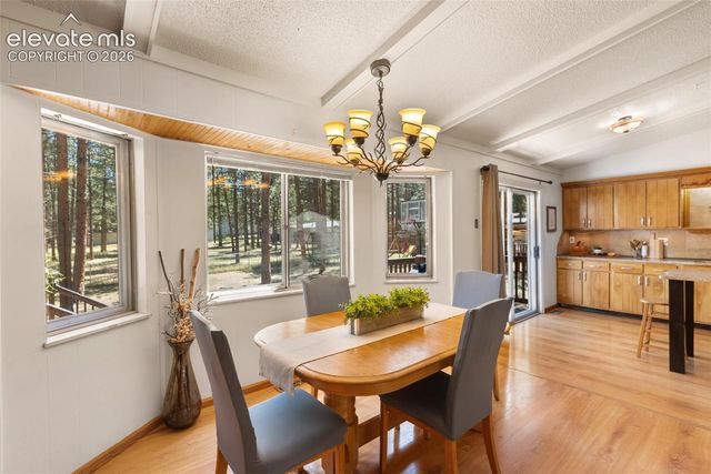 723 N Center Street, Woodland Park, CO 80863