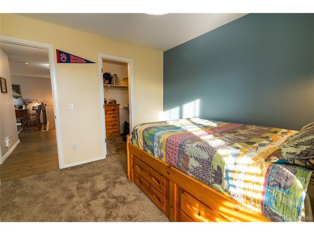 15957 Brooklime Ct, Parker, CO 80134