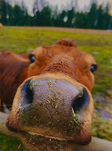 10201 W Jensen Rd, Cheney, WA 99004