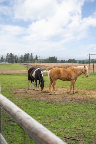 10201 W Jensen Rd, Cheney, WA 99004