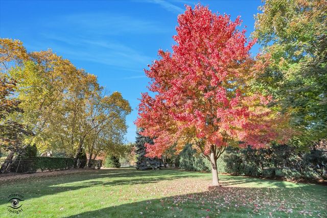 10427 Penny Court, Frankfort, IL 60423