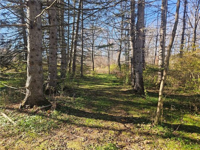 1614 Pennsylvania Avenue, Southport, NY 14871