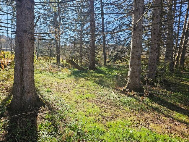 1614 Pennsylvania Avenue, Southport, NY 14871