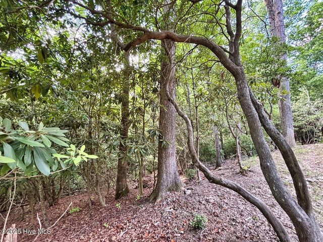 325 Dawsons Lane, Murphy, NC 28906