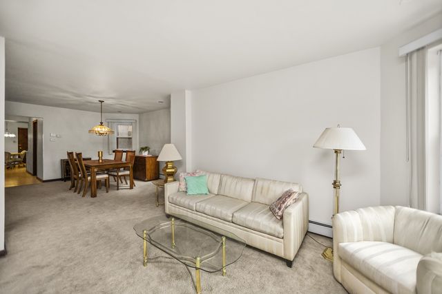 3215 S Lowe Avenue, Chicago, IL 60616