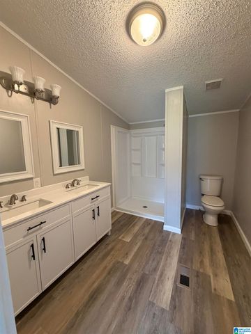 787 SPUNKY HOLLOW ROAD, Remlap, AL 35133