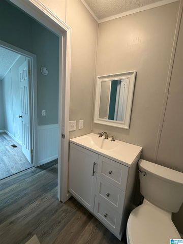 787 SPUNKY HOLLOW ROAD, Remlap, AL 35133