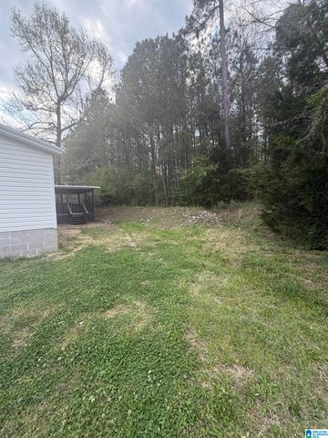 787 SPUNKY HOLLOW ROAD, Remlap, AL 35133