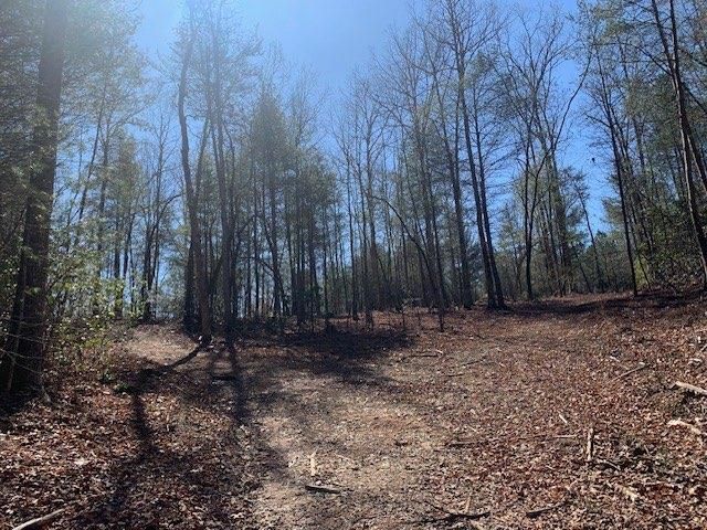0 East New Hope Road, Ellijay, GA 30536