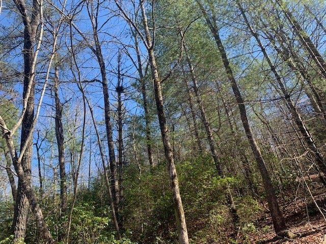 0 East New Hope Road, Ellijay, GA 30536