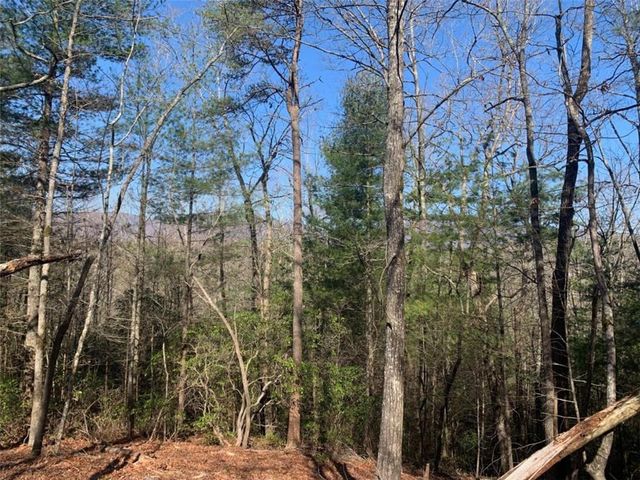 0 East New Hope Road, Ellijay, GA 30536