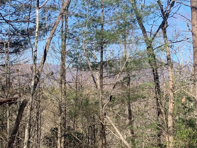 0 East New Hope Road, Ellijay, GA 30536