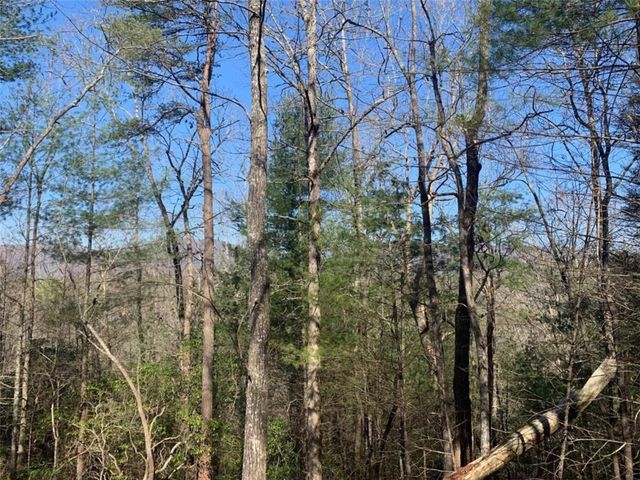0 East New Hope Road, Ellijay, GA 30536