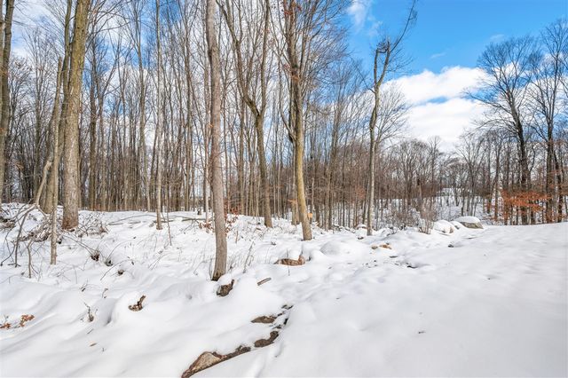 16688 Canyon Cove, Big Rapids, MI 49307