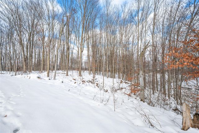 16688 Canyon Cove, Big Rapids, MI 49307