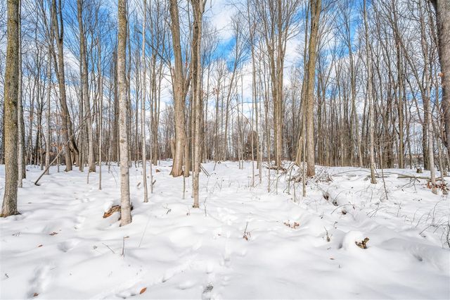 16688 Canyon Cove, Big Rapids, MI 49307