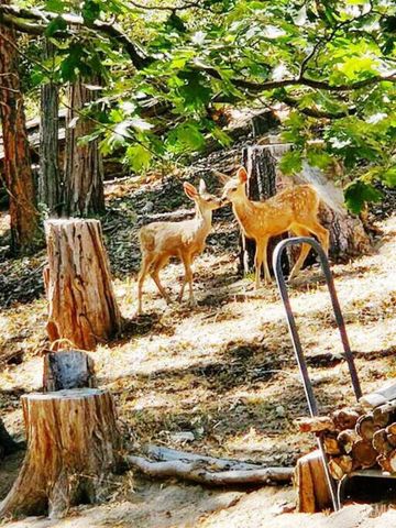 1531 Alta Sierra Road, Wofford Heights, CA 93285