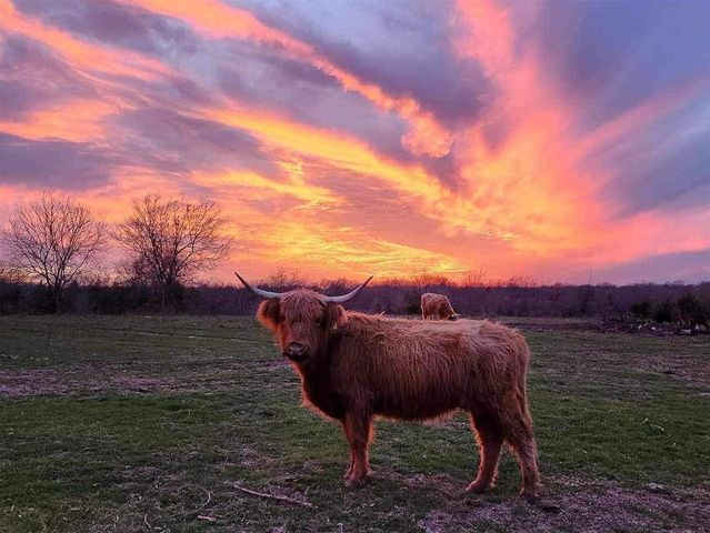 4081 FM 2736 C, Campbell, TX 75422