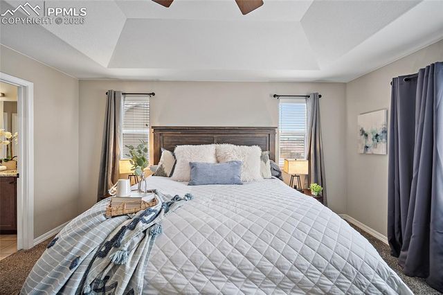 2937 Equine Court, Colorado Springs, CO 80922