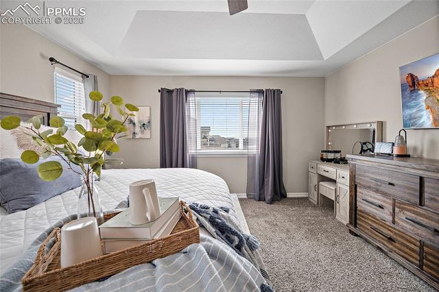 2937 Equine Court, Colorado Springs, CO 80922