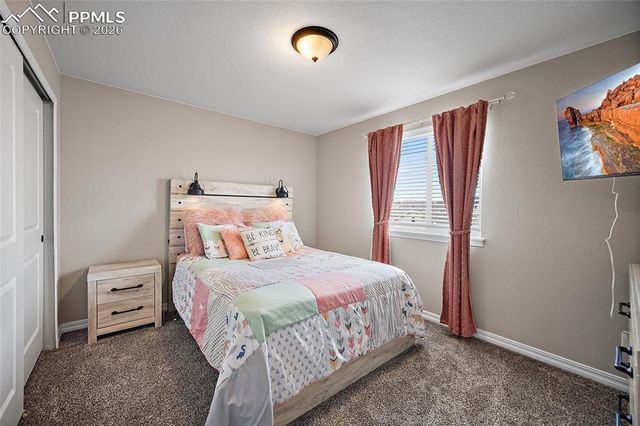 2937 Equine Court, Colorado Springs, CO 80922