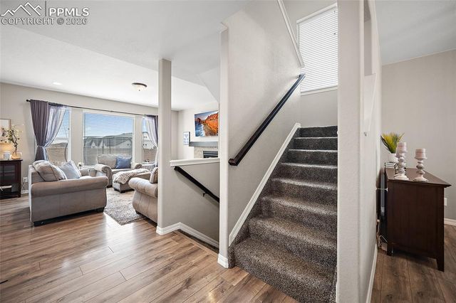 2937 Equine Court, Colorado Springs, CO 80922