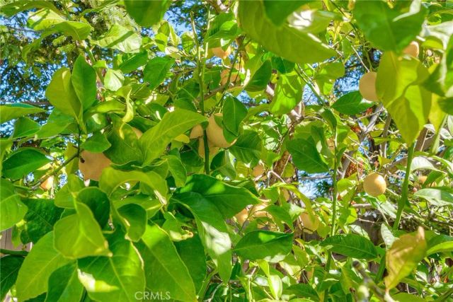 5244 Gold Spring Court, Oroville, CA 95966