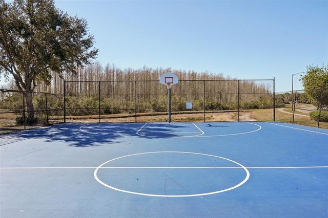 3105 WHITLEY BAY COURT, Land O Lakes, FL 34638