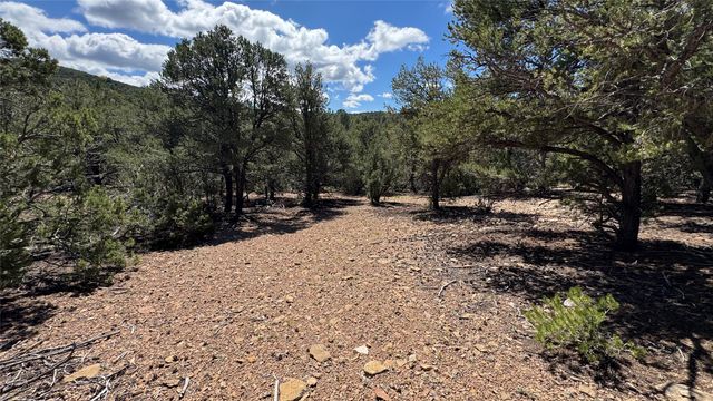 2395 Camino Del Oso, Santa Fe, NM 87501
