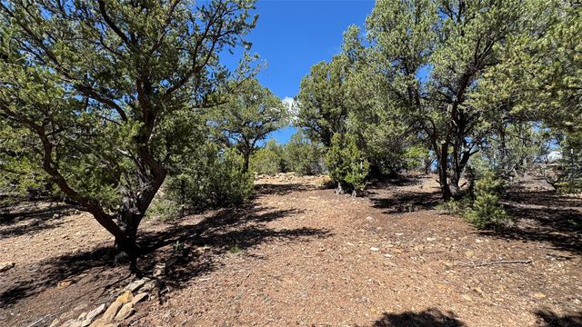 2395 Camino Del Oso, Santa Fe, NM 87501