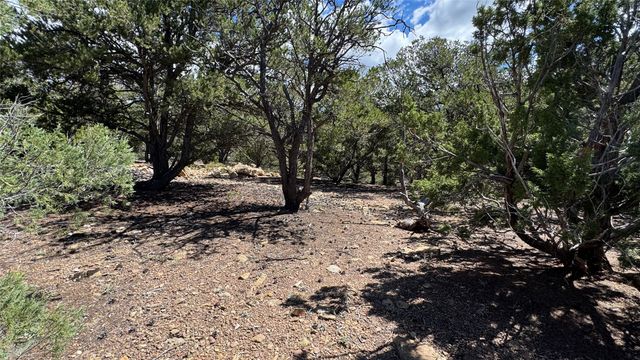 2395 Camino Del Oso, Santa Fe, NM 87501
