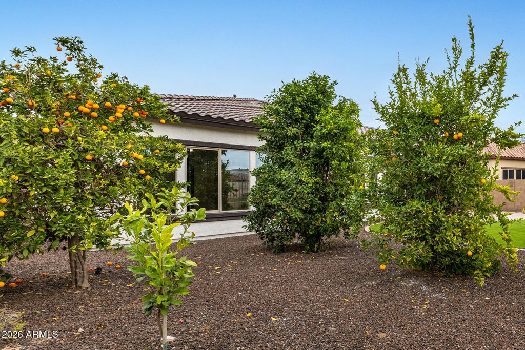 Image 64 of property listing at 6602 S BRIDAL VAIL Drive, Gilbert, AZ 85298