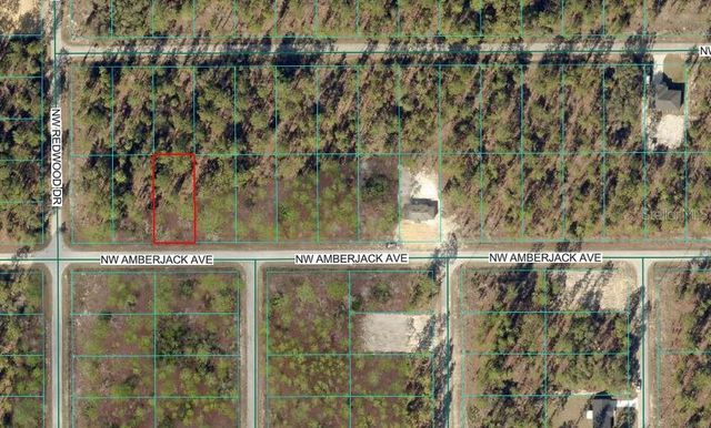 NW AMBERJACK AVENUE, Dunnellon, FL 34431