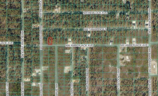 NW AMBERJACK AVENUE, Dunnellon, FL 34431