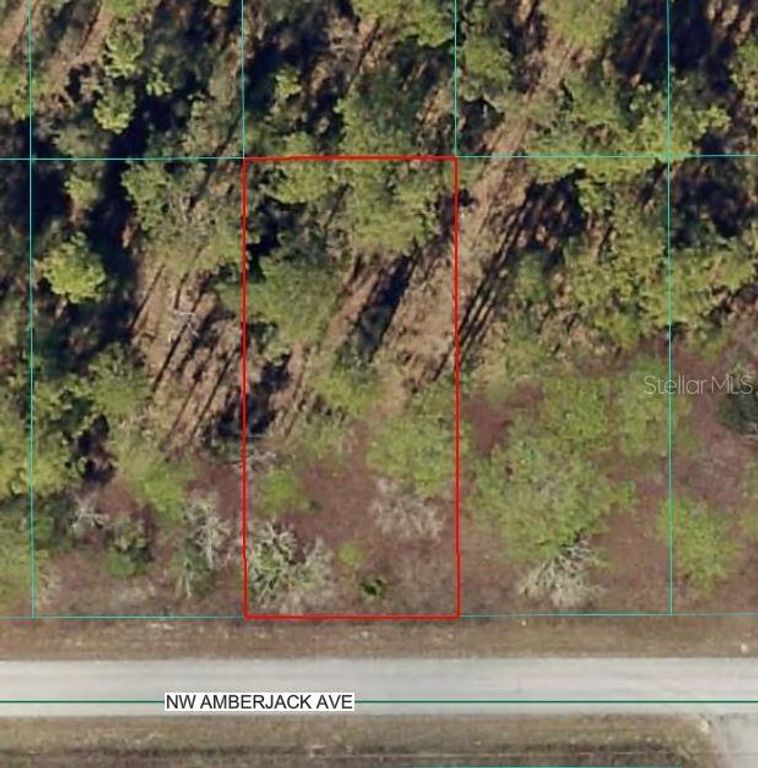 NW AMBERJACK AVENUE, Dunnellon, FL 34431