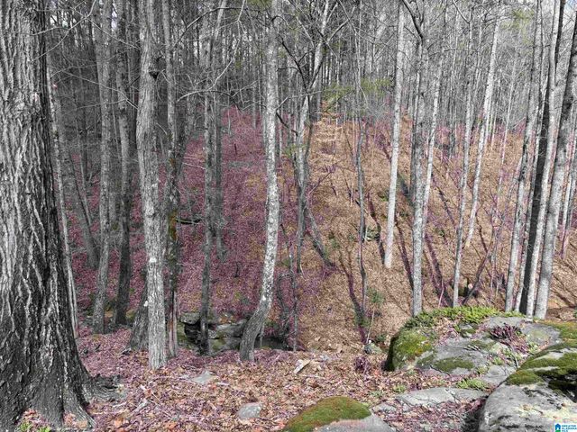 2685 CHESAPEAKE DRIVE, Hueytown, AL 35023