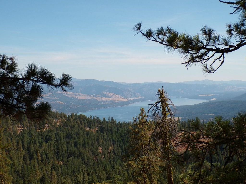 #L Morning Star Ln, Inchelium, WA 99138