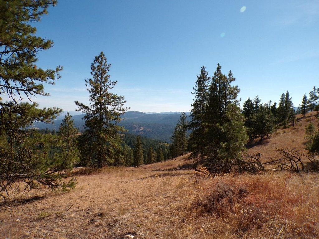 #L Morning Star Ln, Inchelium, WA 99138 photo 2