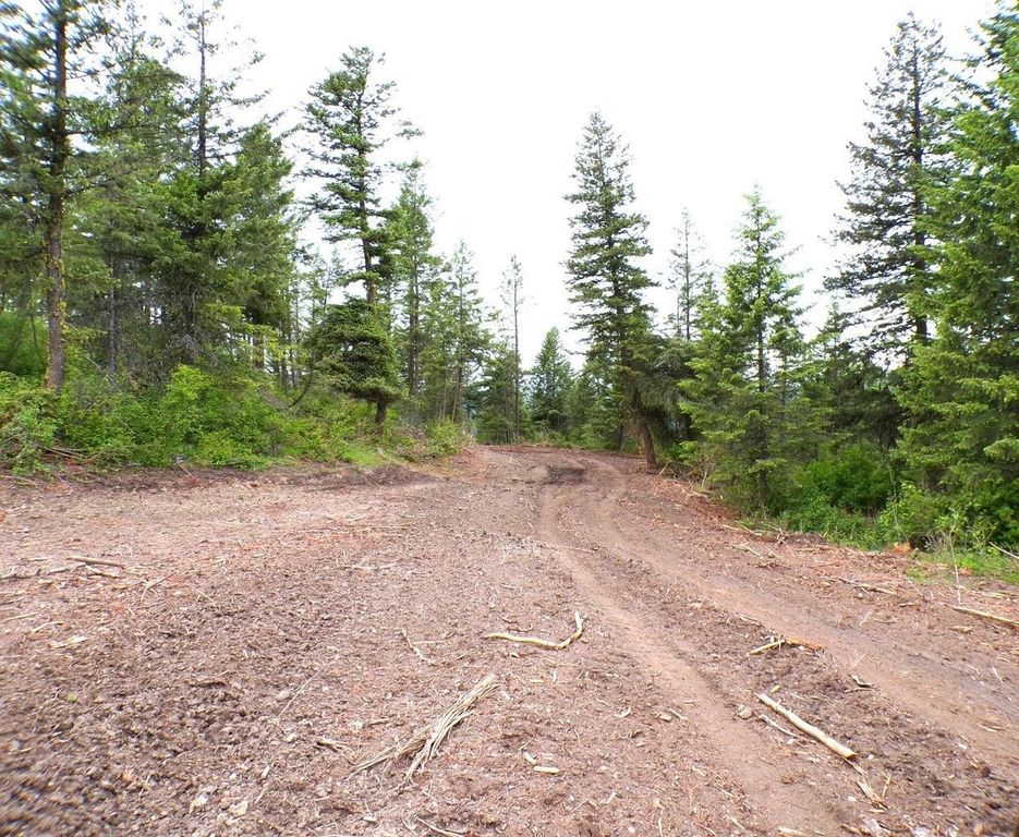 #L Morning Star Ln, Inchelium, WA 99138 photo 11